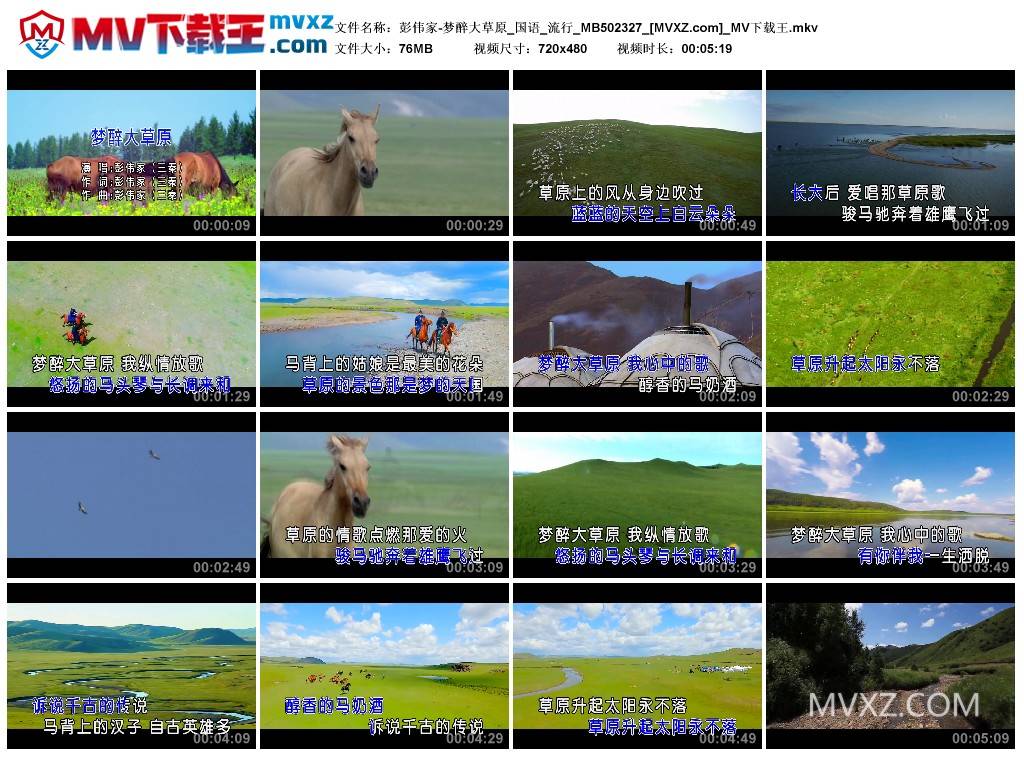 彭伟家-梦醉大草原_国语_流行_MB502327